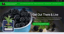 Desktop Screenshot of fruitsandberries.com